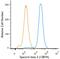 Spectrin Beta, Non-Erythrocytic 4 antibody, NBP2-59668, Novus Biologicals, Flow Cytometry image 