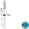 CD200 Molecule antibody, AF3355, R&D Systems, Western Blot image 