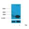 Histone H3 antibody, SPC-1255D-A633, StressMarq, Western Blot image 