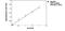 Huntington disease protein antibody, GTX54521, GeneTex, Enzyme Linked Immunosorbent Assay image 