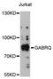 Gamma-Aminobutyric Acid Type A Receptor Theta Subunit antibody, LS-C748285, Lifespan Biosciences, Western Blot image 