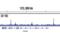 GATA Binding Protein 6 antibody, 5851S, Cell Signaling Technology, Chromatin Immunoprecipitation image 