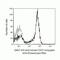 CD27 Molecule antibody, Q10066, Invitrogen Antibodies, Flow Cytometry image 