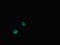 PDZ And LIM Domain 5 antibody, LS-C678972, Lifespan Biosciences, Immunofluorescence image 
