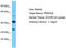 Serine Protease 38 antibody, TA331537, Origene, Western Blot image 