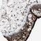 Annexin A1 antibody, NBP1-90161, Novus Biologicals, Immunohistochemistry frozen image 