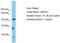 Signal Induced Proliferation Associated 1 Like 2 antibody, TA331812, Origene, Western Blot image 