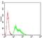 Potassium Voltage-Gated Channel Subfamily D Member 2 antibody, NBP2-52497, Novus Biologicals, Flow Cytometry image 