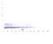 C-X-C Motif Chemokine Ligand 12 antibody, XP-5269Bt, ProSci, Western Blot image 