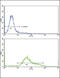 Transferrin Receptor antibody, 61-619, ProSci, Immunofluorescence image 