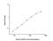 CD69 Molecule antibody, NBP2-75335, Novus Biologicals, Enzyme Linked Immunosorbent Assay image 