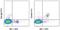 Integrin Subunit Alpha 2 antibody, 11-5971-63, Invitrogen Antibodies, Flow Cytometry image 