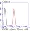 Heat Shock Protein Family A (Hsp70) Member 4 antibody, NBP2-67817, Novus Biologicals, Flow Cytometry image 