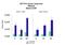 Protein Kinase C Gamma antibody, NBP1-58916, Novus Biologicals, Immunoprecipitation image 