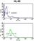 Exosome Component 8 antibody, abx031706, Abbexa, Western Blot image 