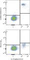 LIR-5 antibody, MAB24251, R&D Systems, Western Blot image 