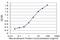 Nucleoporin 58 antibody, H00009818-M01, Novus Biologicals, Enzyme Linked Immunosorbent Assay image 