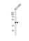 Absent In Melanoma 2 antibody, abx034954, Abbexa, Western Blot image 