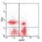 Leucine Rich Repeat Containing 32 antibody, NBP2-24664, Novus Biologicals, Flow Cytometry image 