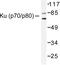 X-Ray Repair Cross Complementing 5 antibody, LS-C176104, Lifespan Biosciences, Western Blot image 