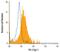 Spi-1 Proto-Oncogene antibody, MAB5870, R&D Systems, Flow Cytometry image 