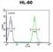 Apolipoprotein B MRNA Editing Enzyme Catalytic Subunit 2 antibody, abx032590, Abbexa, Immunohistochemistry paraffin image 