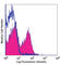 T Cell Receptor Beta Variable 7-9 antibody, 109221, BioLegend, Flow Cytometry image 