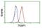 Putative endoplasmin-like protein antibody, NBP2-01707, Novus Biologicals, Flow Cytometry image 