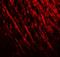 Proline Rich Transmembrane Protein 2 antibody, A02707, Boster Biological Technology, Immunofluorescence image 