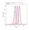 Cyclin Dependent Kinase 6 antibody, LF-MA0155, Invitrogen Antibodies, Flow Cytometry image 