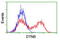 Dystrobrevin Beta antibody, LS-C173762, Lifespan Biosciences, Flow Cytometry image 