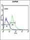 G Protein-Coupled Receptor 18 antibody, orb213995, Biorbyt, Flow Cytometry image 