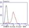 Small Ubiquitin Like Modifier 4 antibody, NBP2-67906, Novus Biologicals, Flow Cytometry image 