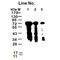 GFP-tag antibody, M30972, Boster Biological Technology, Western Blot image 