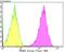 Interleukin 1 Receptor Associated Kinase 2 antibody, NBP2-76843, Novus Biologicals, Flow Cytometry image 