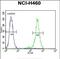Olfactory Receptor Family 2 Subfamily B Member 11 antibody, PA5-48198, Invitrogen Antibodies, Flow Cytometry image 