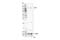 Leucine Rich Repeats And Immunoglobulin Like Domains 1 antibody, 59027S, Cell Signaling Technology, Western Blot image 