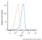 Solute Carrier Family 7 Member 11 antibody, NB300-318, Novus Biologicals, Flow Cytometry image 