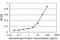 Cyclin K antibody, H00008812-M03, Novus Biologicals, Enzyme Linked Immunosorbent Assay image 