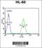 Nitric Oxide Synthase 1 Adaptor Protein antibody, 55-115, ProSci, Flow Cytometry image 