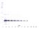 TNF Superfamily Member 10 antibody, 38-260, ProSci, Western Blot image 