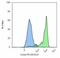 Folate Hydrolase 1 antibody, MA1-10335, Invitrogen Antibodies, Flow Cytometry image 