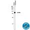 Sortilin 1 antibody, AF3154, R&D Systems, Neutralising image 