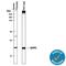 Glutathione S-transferase P 1 antibody, MAB6455, R&D Systems, Western Blot image 