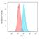 Keratin 14 antibody, GTX34631, GeneTex, Flow Cytometry image 