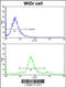 Tyrosine 3-Monooxygenase/Tryptophan 5-Monooxygenase Activation Protein Gamma antibody, 61-614, ProSci, Immunofluorescence image 