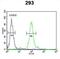 Ubiquitin-like protein FUBI antibody, abx028527, Abbexa, Flow Cytometry image 