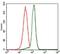 Protein Phosphatase, Mg2+/Mn2+ Dependent 1A antibody, MA5-17154, Invitrogen Antibodies, Flow Cytometry image 