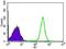 Negative Elongation Factor Complex Member A antibody, MA5-17199, Invitrogen Antibodies, Flow Cytometry image 