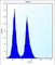 Smad Nuclear Interacting Protein 1 antibody, abx026682, Abbexa, Western Blot image 